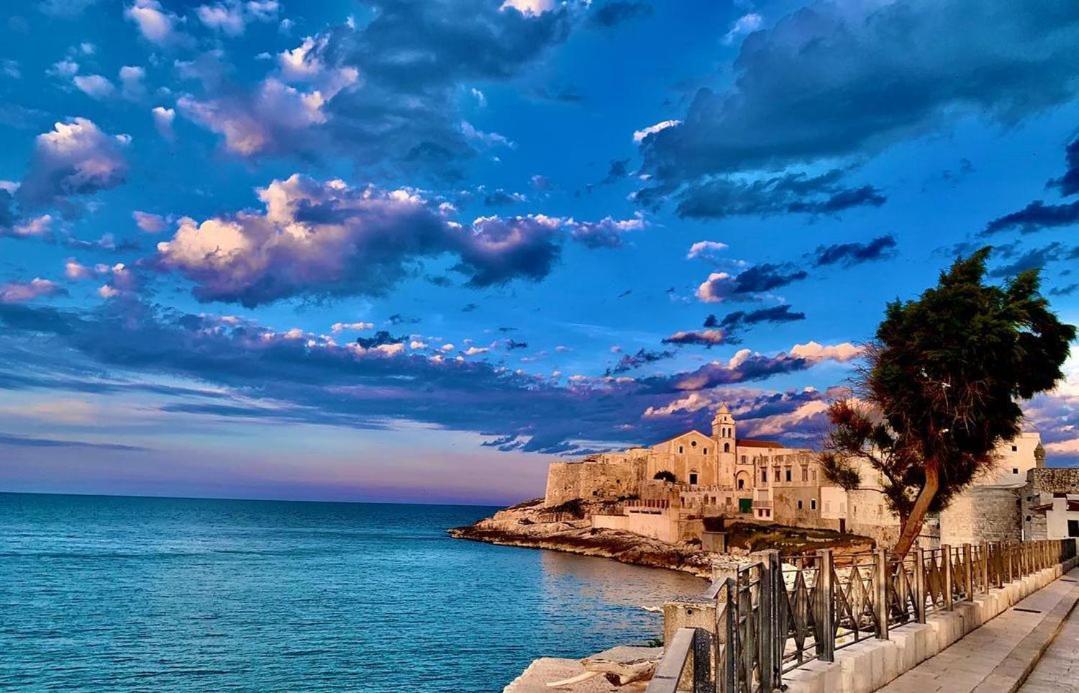 Hotel Dream & Relax Vieste Exterior foto